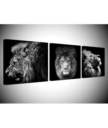 Tableau Lion Noir et Blanc 3 Pièces Véritable concentré