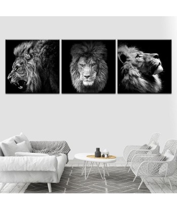 Tableau Lion Noir et Blanc 3 Pièces Véritable concentré