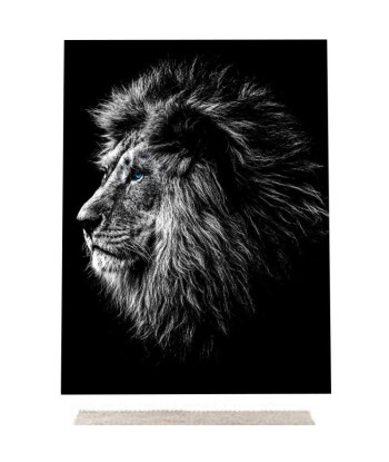 Toile Lion Noir et Blanc à prix réduit toute l'année