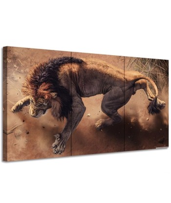 Tableau Lion Majestueux basket pas cher