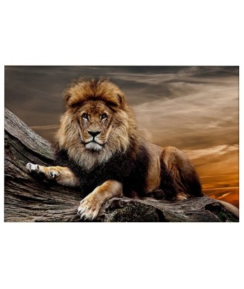 Tableau Lion Splendeur online