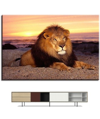 Tableau Lion Gloire en ligne des produits 