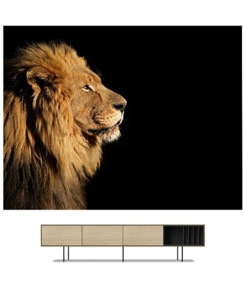 Tableau Lion Simplicité soldes