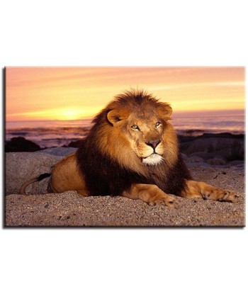 Tableau Lion Gloire en ligne des produits 