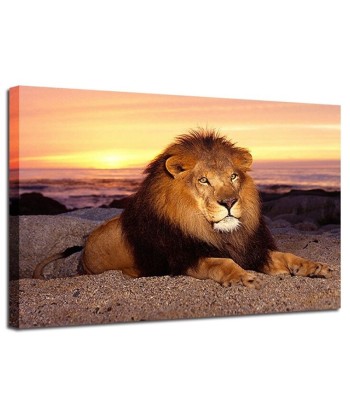 Tableau Lion Gloire en ligne des produits 