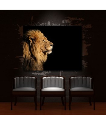 Tableau Lion Simplicité soldes