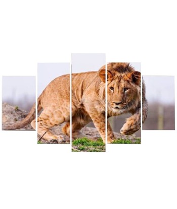 Tableau Lion Valeur sur le site 