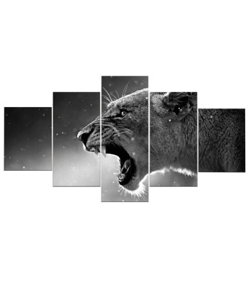 Tableau Lion Passion en ligne des produits 