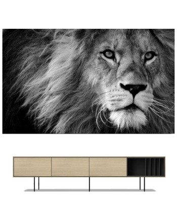 Tableau Lion Noir et Blanc Charisme livraison gratuite