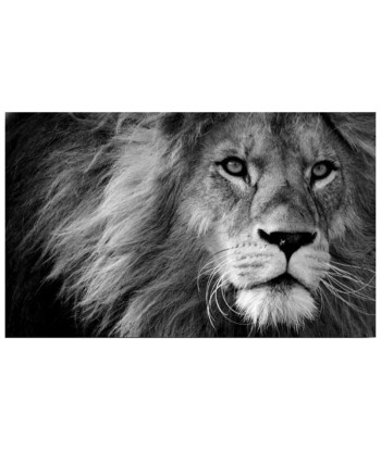 Tableau Lion Noir et Blanc Charisme livraison gratuite