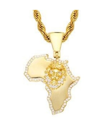 Pendentif Lion Or Afrique Profitez des Offres !