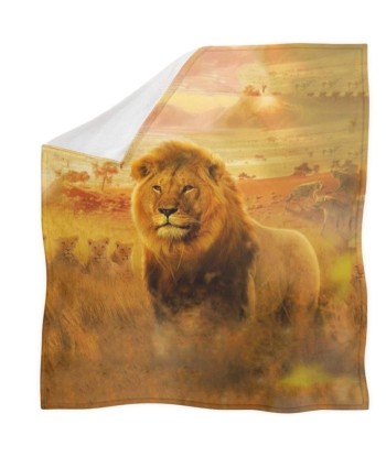 Couverture Du Roi Lion Savane store