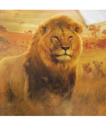 Couverture Du Roi Lion Savane store