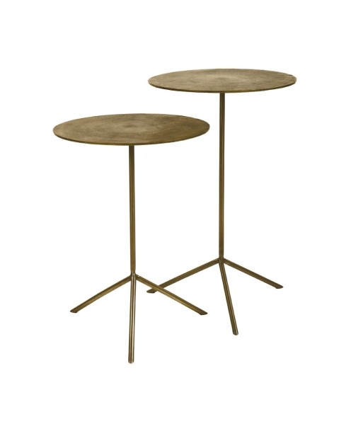 Lot de 2 tables d'appoint Aluminium/acier inoxidable Coloris bronze de l' environnement